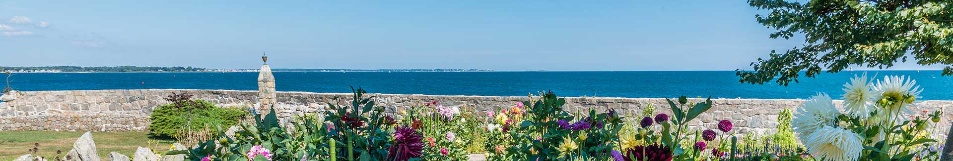 flowers in a garden with the ocean as background