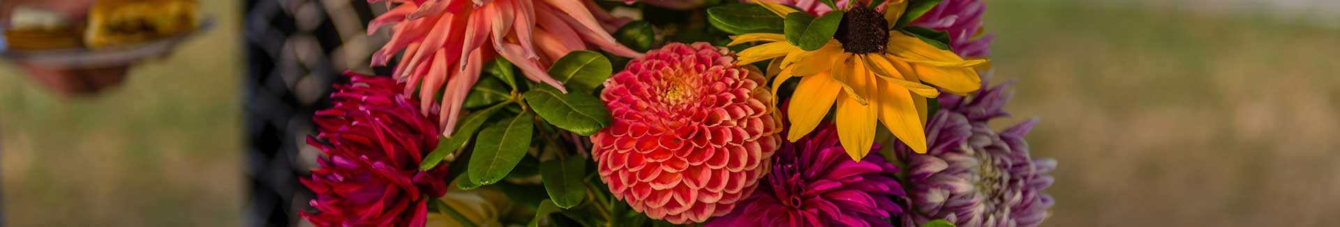 flowers in a vase