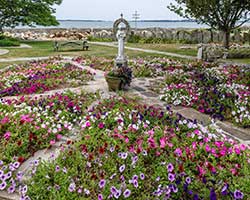 flowers in the garden and a statue