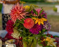 flowers in a vase